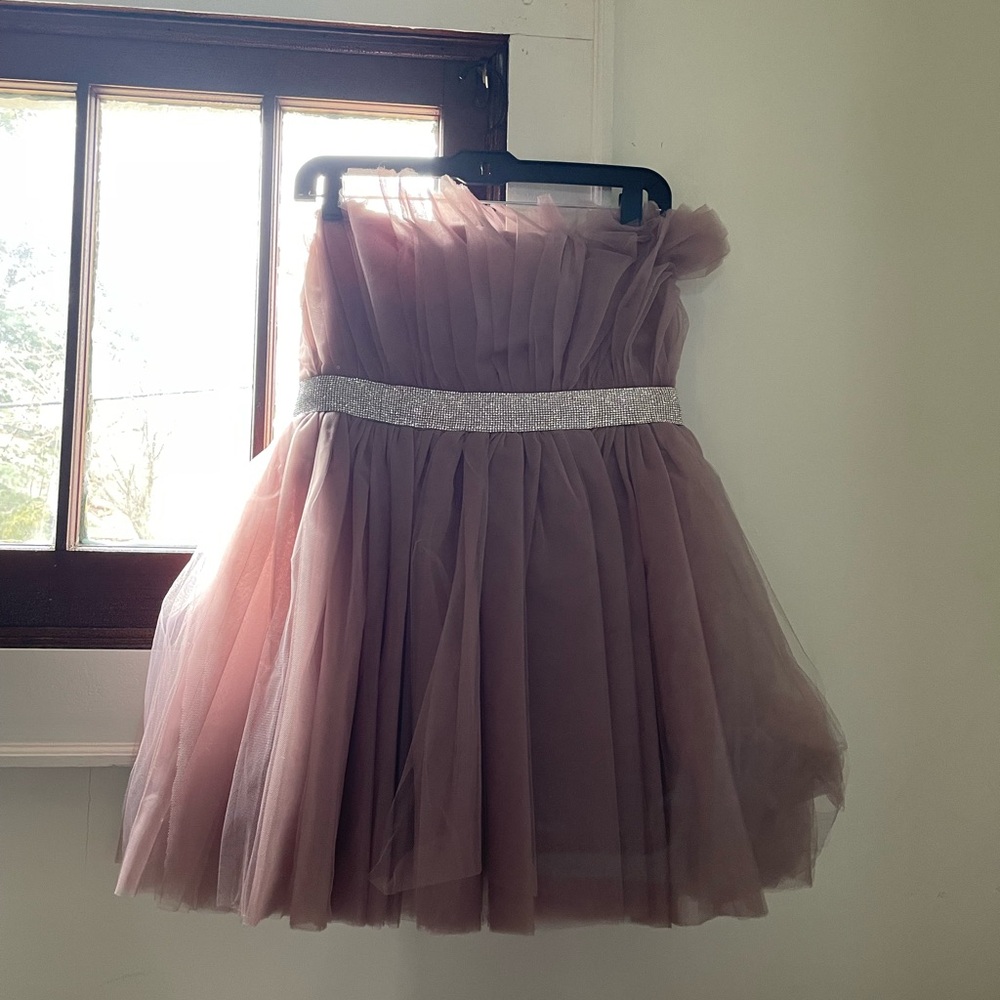 AKIRA Blush Tulle Dress with Sparkling Silver Accent